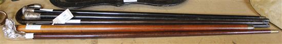 6 Walking sticks